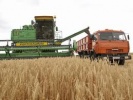 Уборка зерновых