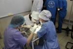 Олимпиада по хирургии в Питере 16.02.2013