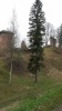 Руины замка Ливонского ордена в г.Вильянди