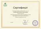 Сертификат Скобелевой Е.А. о проходжениии обучения в АНО ДПО Корпоративный университет Сбербанка