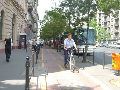 Вот такие дорожки для велосипедистов проложены по улицам Будапешта. 