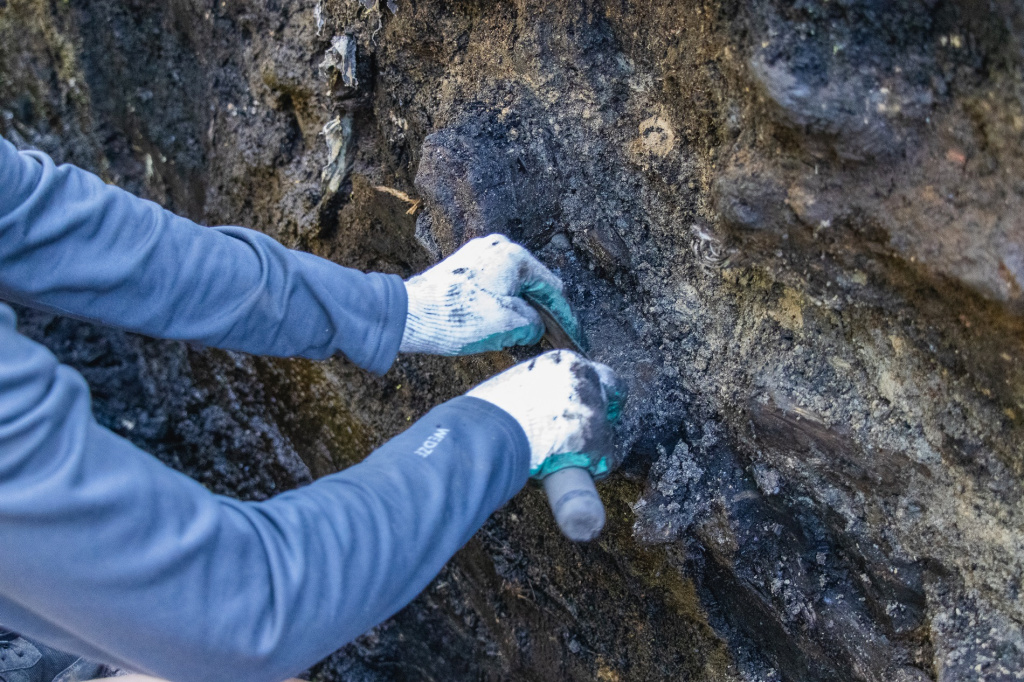 фото сайт НовГУ